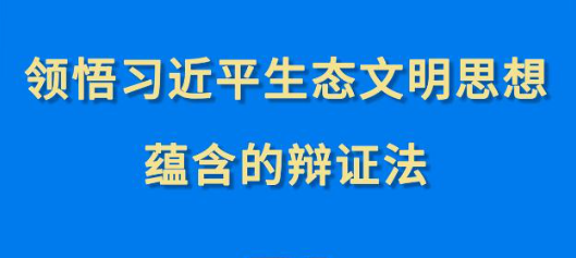 第一视察︱意会习近一生态文明头脑蕴含的辩证法