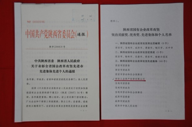 2009年2月，被陕西省委、省政府授予陕西省国有企业刷新攻坚先进整体